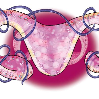 Tongue Ovaries