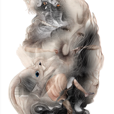 Entities