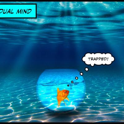 The individual mind