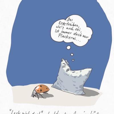 Das Kissen Und Der Marienkafer
