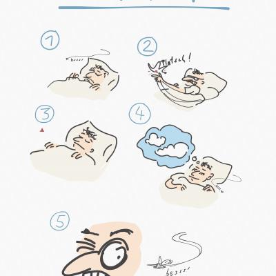 Die Mücke