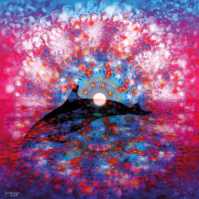 Psychedelic Dolphins