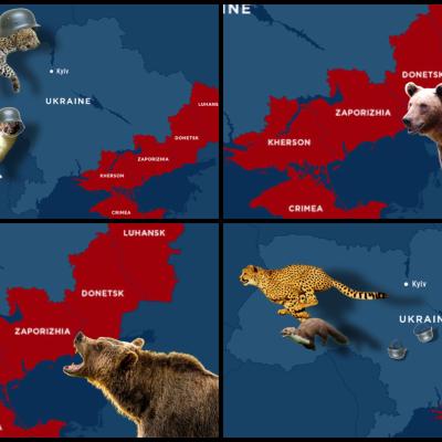 Tiere in freier Wildbahn: neulich, in Novorossia