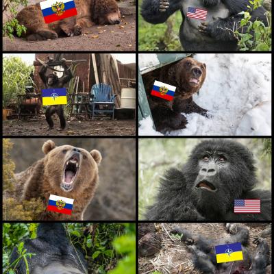 NATO vs Russland kurz erklärt